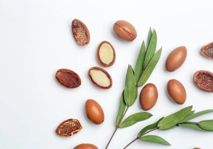 Argan Argan