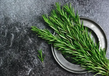 rosemary